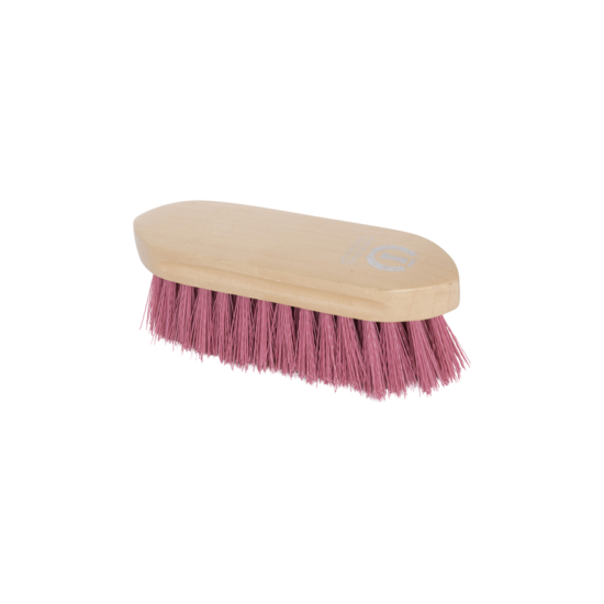 Dandy birste cietiem sariem